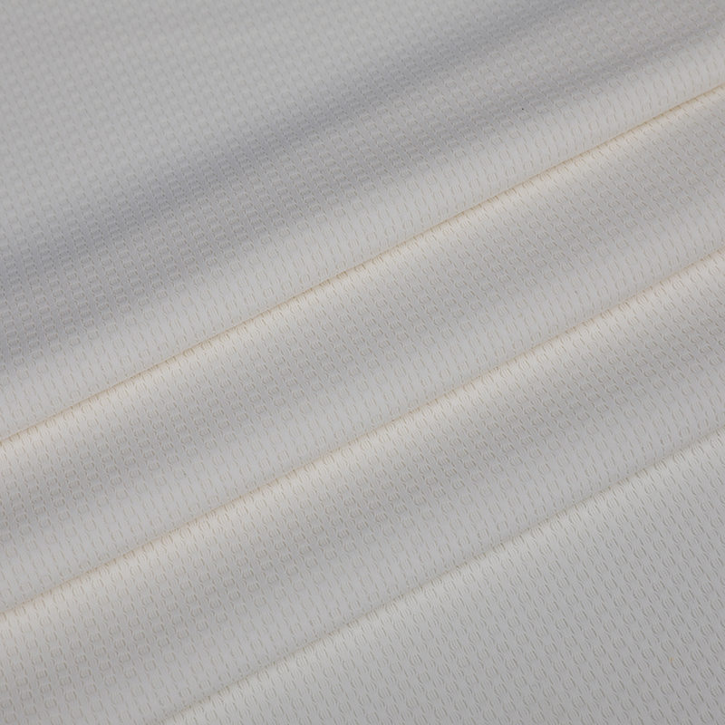 BPJ1907 Brocade Ammonia Ploid Jacquard Fabric